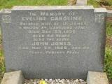 image of grave number 647221